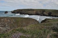 Wnderung von den Bedruthan Steps nach Porthcothan
