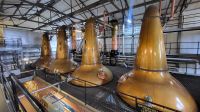132 - Cardhu Whisky