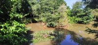 133 Arley Arboratum & Gardens