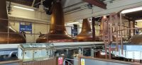 134 Elgin, Glen Morey Distillery