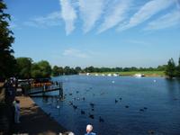 Themse bei Windsor