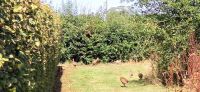 135 Arley Arboratum & Gardens
