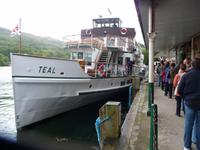 Lake Windermere-The Teal