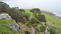 Die Gärten auf St. Michael's Mount