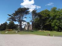 Krönungshügel im Park von Scone Palace