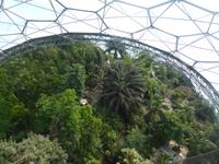 Eden Project - Blick von der Aussichtsplattform