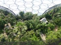 Eden Project 