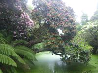 The Lost Gardens of Heligan 