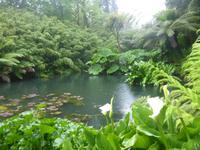 The Lost Gardens of Heligan