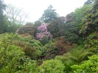 The Lost Gardens of Heligan 