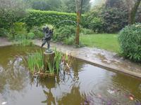 The Lost Gardens of Heligan 