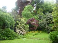 Trebah Garden 
