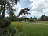 West Dean Garden 