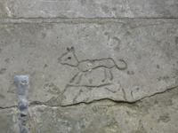 Salisbury - Katze in Kathedrale