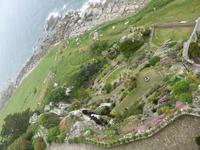 St. Michael´s Mount - Gärten