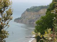 Isle of Wight - Shanklin