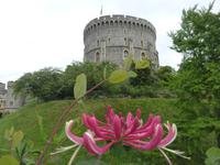 Windsor Castle - Bergfried