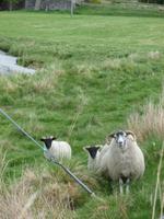 Highlands, bei Corgarff Castle
