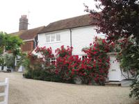 Blütenpracht in Rye