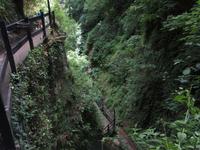 Der Shanklin Chine ist eine Klamm