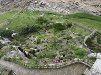 Terassengarten auf St. Michaels Mount