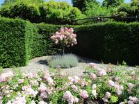 Hever Castle and Gardens