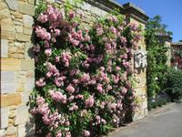 Hever Castle and Gardens