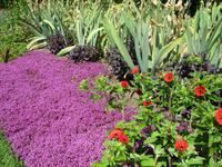 Penshurst Place and Gardens