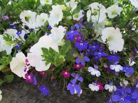 Penshurst Place and Gardens