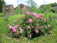 Leeds Castle and Gardens