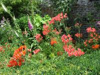 Leeds Castle and Gardens
