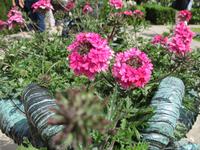 Sissinghurst Castle and Gardens