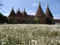 Sissinghurst Castle and Gardens