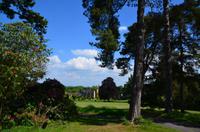 058 Heather Castle and Garden