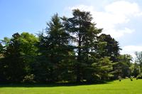 059 Heather Castle and Garden