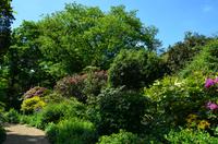 062 Heather Castle and Garden