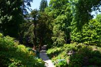 067 Heather Castle and Garden