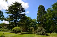 070 Heather Castle and Garden