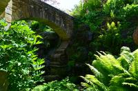 080 Heather Castle and Garden