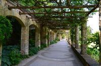 082 Heather Castle and Garden