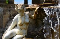 099 Heather Castle and Garden