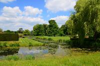 109 Heather Castle and Garden
