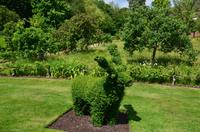 113 Heather Castle and Garden