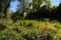 127 Sissinghurst Place and Garden