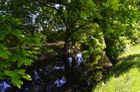 132 Sissinghurst Place and Garden