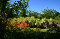 135 Sissinghurst Place and Garden