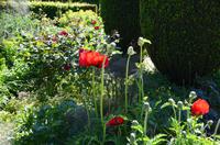 136 Sissinghurst Place and Garden