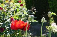 137 Sissinghurst Place and Garden