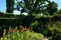 143 Sissinghurst Place and Garden