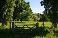 145 Sissinghurst Place and Garden